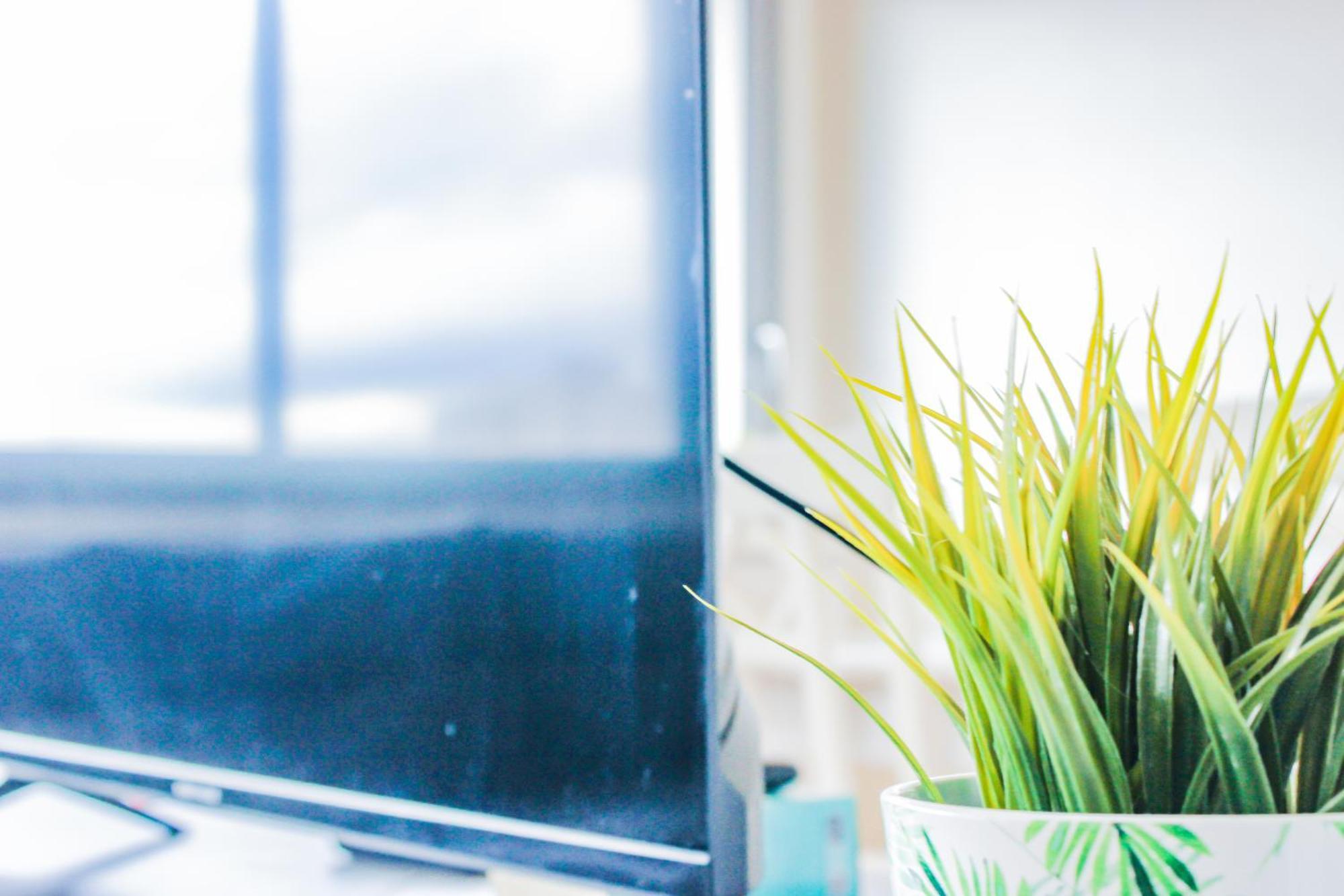 Apartment T3 Confortable Et Lumineux